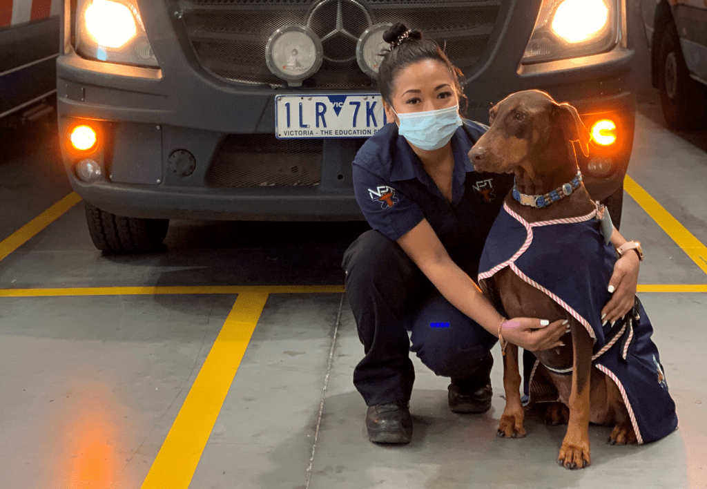 News Introducing NPT Support Dog Zeva The Dobermann 2
