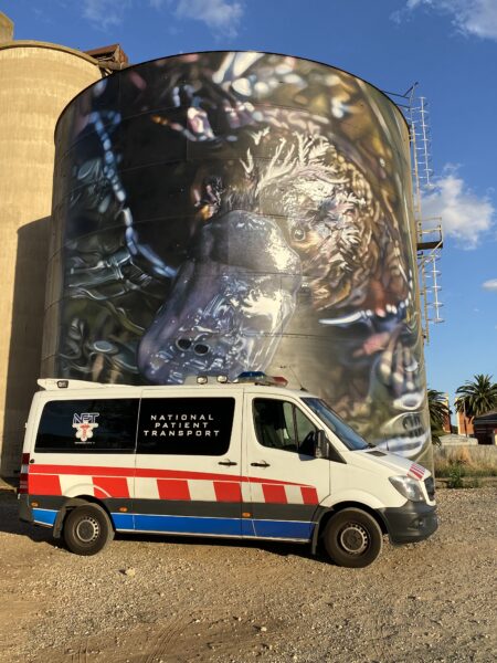 Photo taken by Anthony Cockett of one of the painted silos at Rochester, on the way back from transporting a patient to Echuca. Anthony noted that 16 litres of spray can paint and more than 90 litres of Dulux were used to make this particular artwork